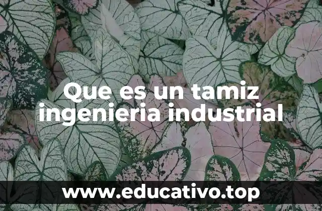 Que es un tamiz ingenieria industrial