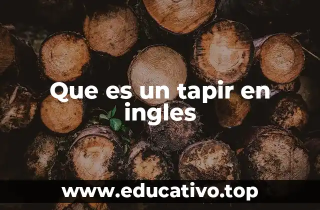 Que es un tapir en ingles