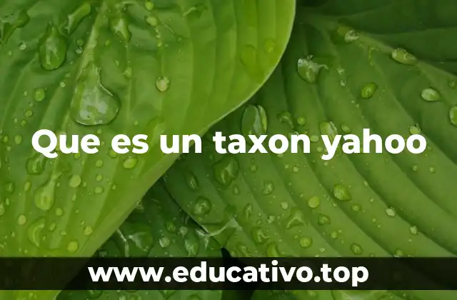 Que es un taxon yahoo