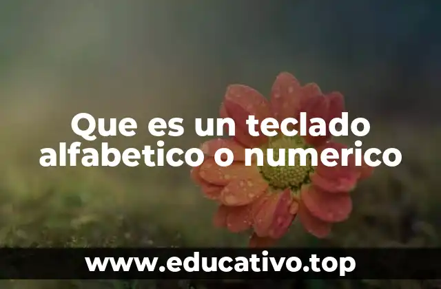 Que es un teclado alfabetico o numerico