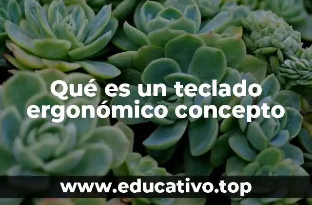 Qué es un teclado ergonómico concepto