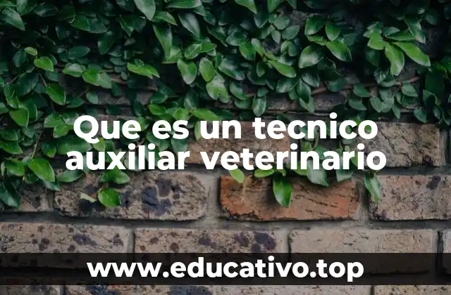 Que es un tecnico auxiliar veterinario