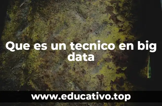 Que es un tecnico en big data