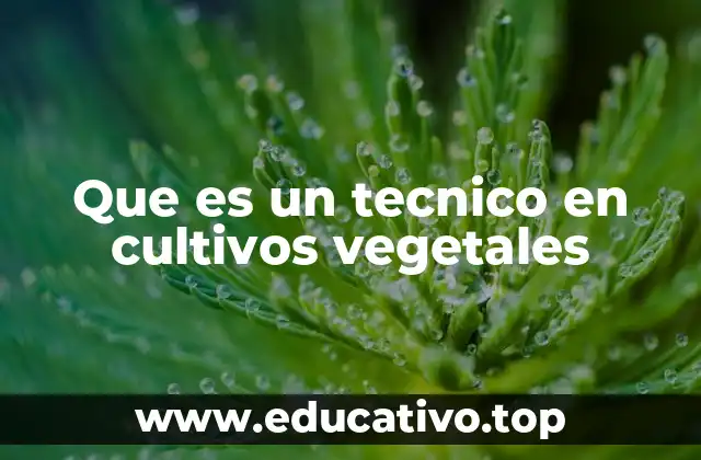 Que es un tecnico en cultivos vegetales