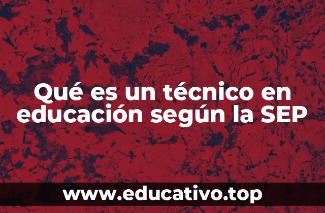 Qué es un técnico en educación según la SEP
