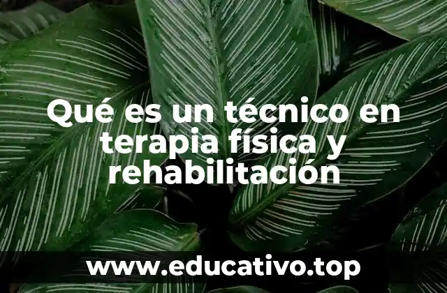 Qué es un técnico en terapia física y rehabilitación