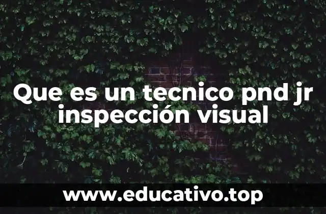 Que es un tecnico pnd jr inspección visual
