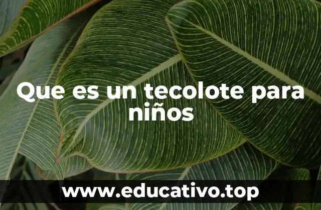 Que es un tecolote para niños