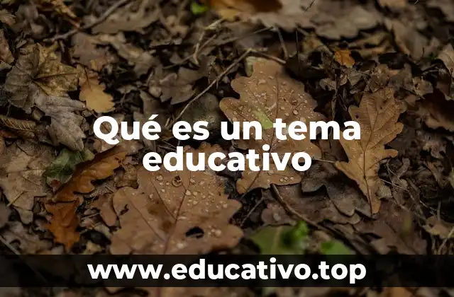 Qué es un tema educativo