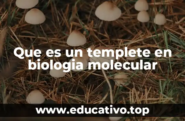 Que es un templete en biologia molecular