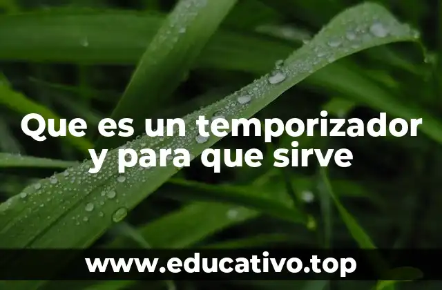Que es un temporizador y para que sirve