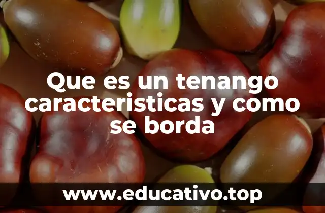 Que es un tenango caracteristicas y como se borda