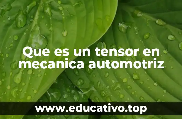 Que es un tensor en mecanica automotriz