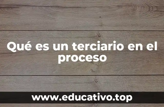 Qué es un terciario en el proceso