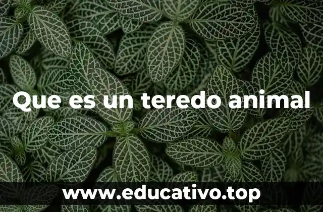 Que es un teredo animal