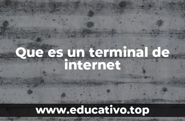 Que es un terminal de internet