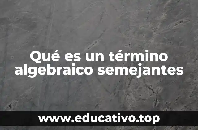 Qué es un término algebraico semejantes