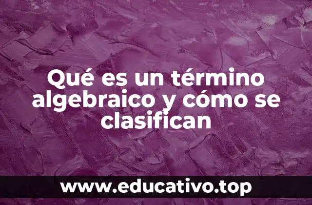 Qué es un término algebraico y cómo se clasifican