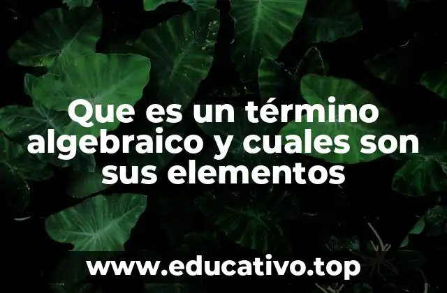 Que es un término algebraico y cuales son sus elementos
