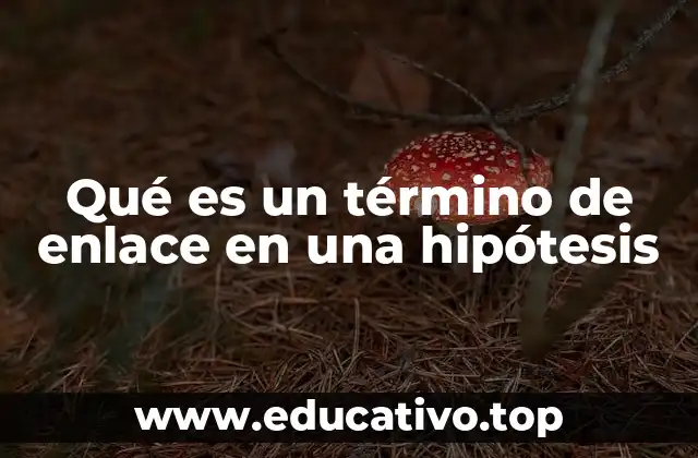 Qué es un término de enlace en una hipótesis