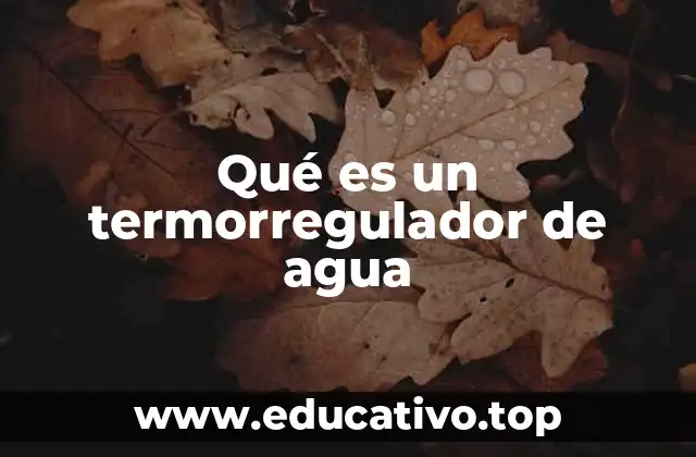 Funcionamiento del termorregulador de agua