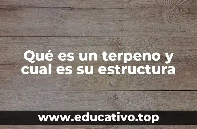 Qué es un terpeno y cual es su estructura