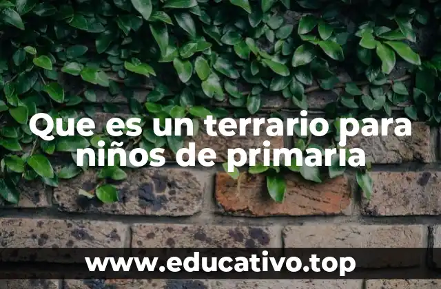 Que es un terrario para niños de primaria