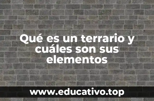 Qué es un terrario y cuáles son sus elementos