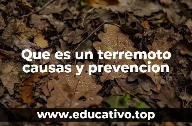 Que es un terremoto causas y prevencion