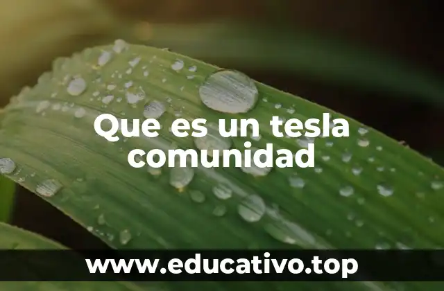 El impacto de las comunidades Tesla en la cultura digital