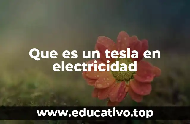 Que es un tesla en electricidad