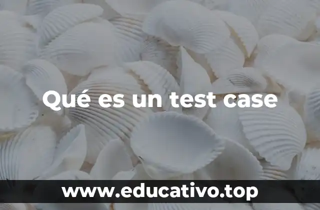 Qué es un test case