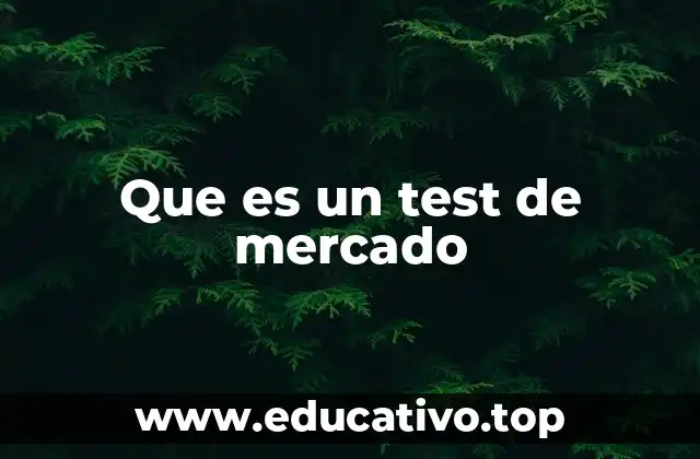 La importancia de evaluar el entorno antes de lanzar un producto