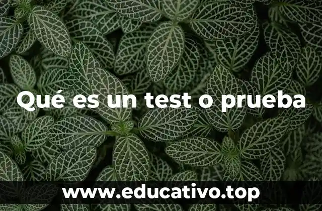 Qué es un test o prueba