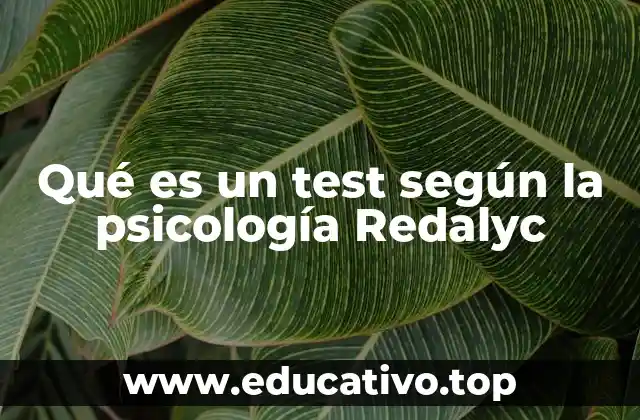 Qué es un test según la psicología Redalyc