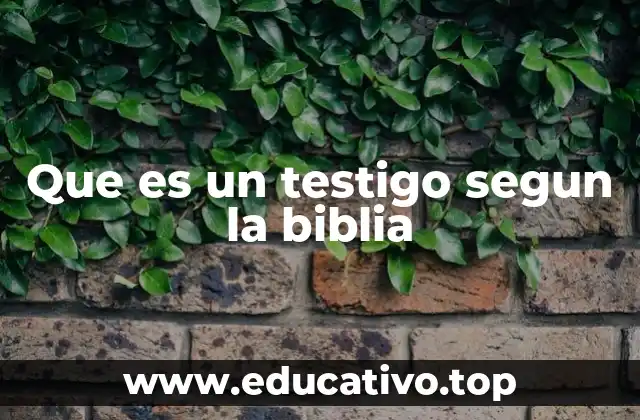 Que es un testigo segun la biblia