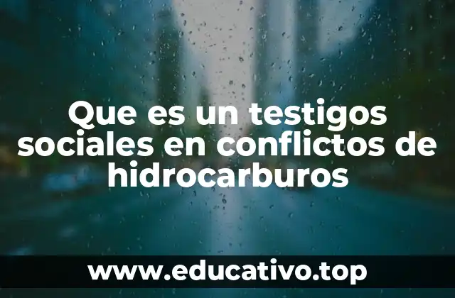 Que es un testigos sociales en conflictos de hidrocarburos