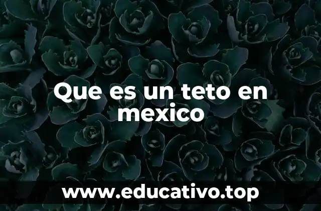 Que es un teto en mexico