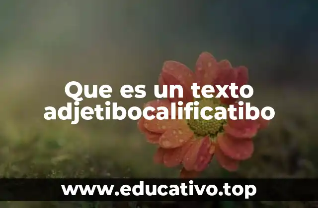 Que es un texto adjetibocalificatibo