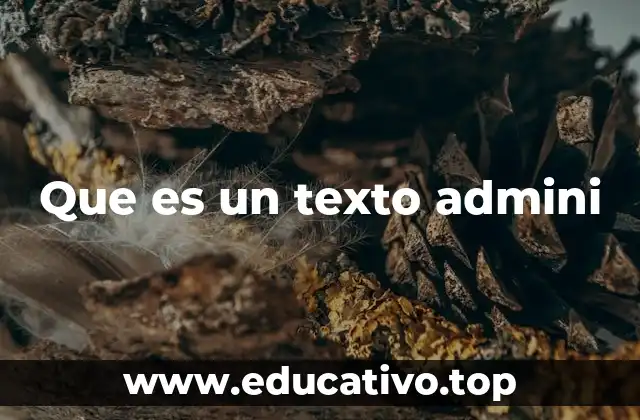 Que es un texto admini