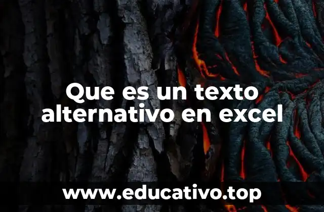 La importancia del texto alternativo en la gestión de datos