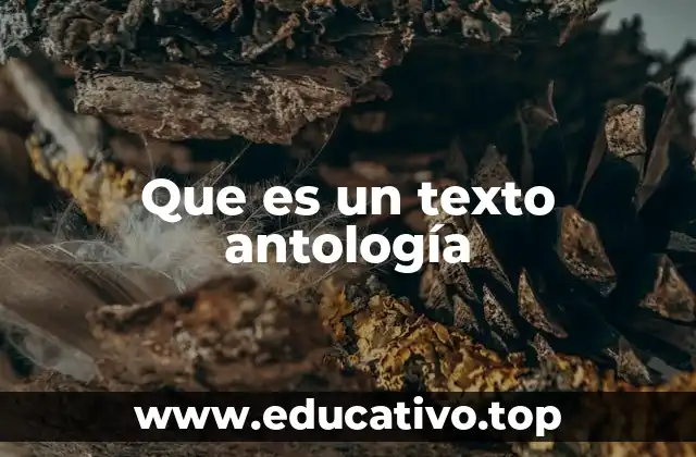 Que es un texto antología