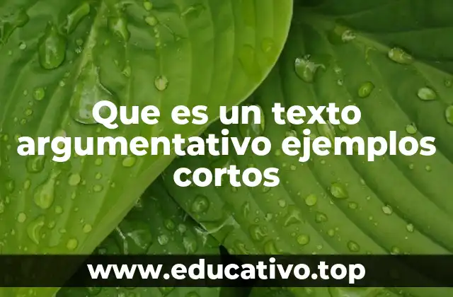 Que es un texto argumentativo ejemplos cortos