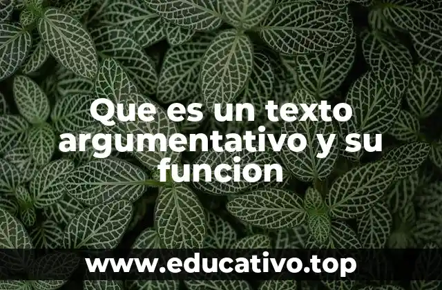 La importancia de la lógica y la persuasión en la escritura argumentativa