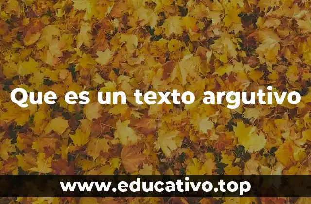 La importancia de la estructura en un texto argumentativo