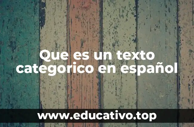 Organización y estructura de los textos categóricos