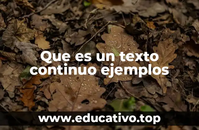 Que es un texto continuo ejemplos