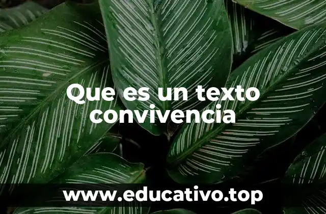Que es un texto convivencia