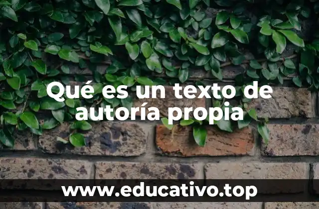 Qué es un texto de autoría propia