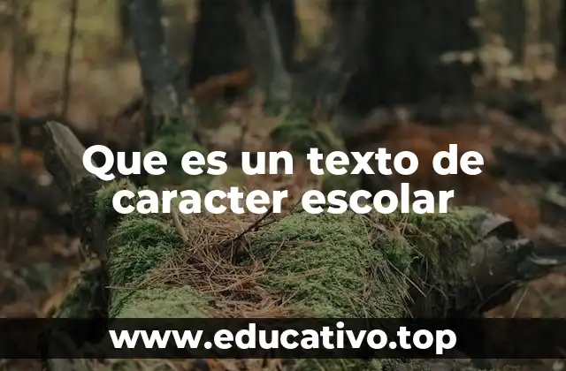 Que es un texto de caracter escolar